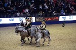 Quadrille - 00843